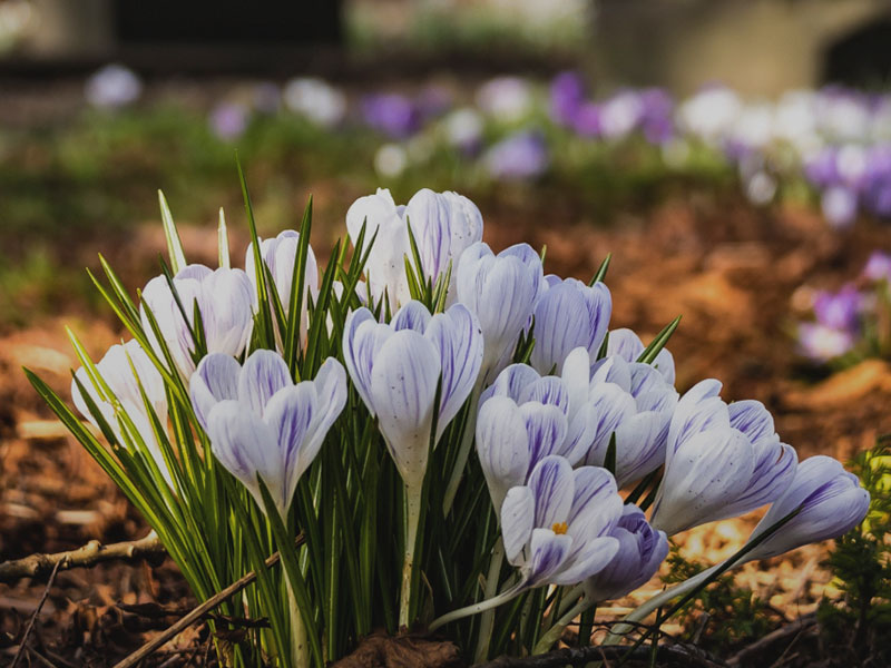 Varias salas de velatorios en Funeraria Pascual para que la familia tenga un espacio íntimo y tranquilo